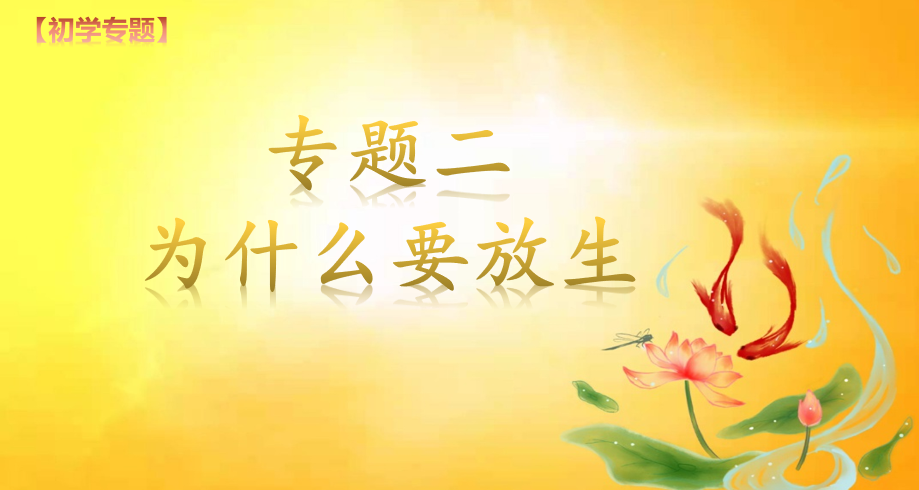 专题二-为什么要放生(图2) 专题二-为什么要放生(图2)